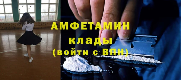 индика Алексеевка