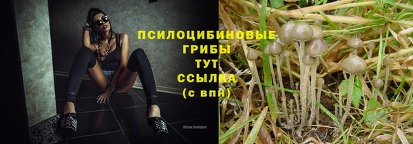 не бодяженный Алзамай