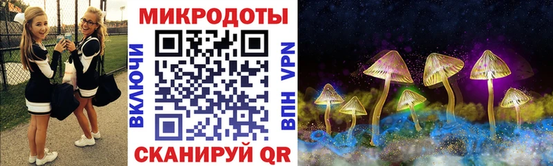 Галлюциногенные грибы Magic Shrooms  MEGA маркетплейс  Николаевск 